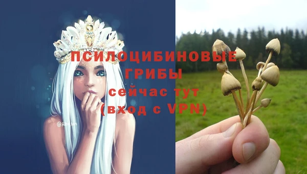 герыч Воткинск