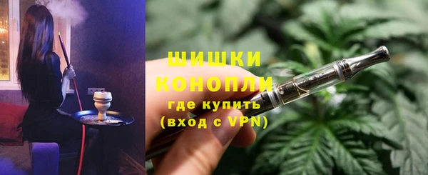 молекула духа Пестово