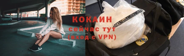 молекула духа Пестово