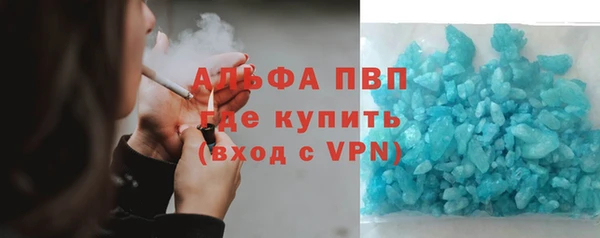 дживик Пересвет