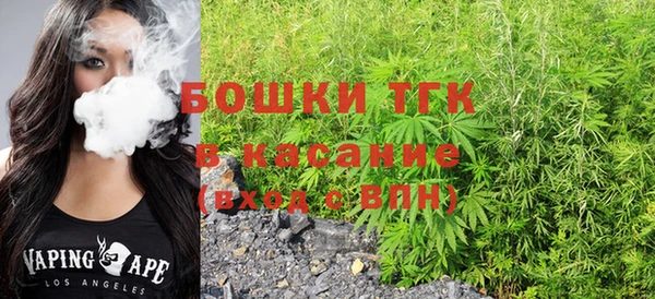 молекула духа Пестово