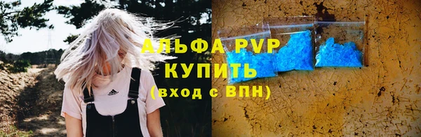 дживик Пересвет