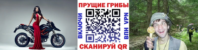 Купить закладки  Канск  Галлюциногенные грибы Cubensis 